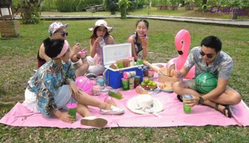 Piknik Chatime Indonesia GIF