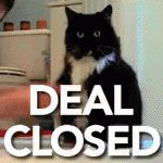 Bizkitty Closing Deals GIF