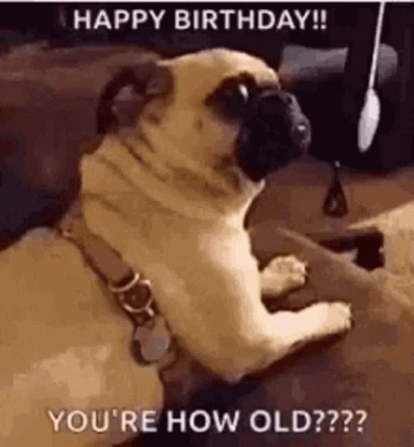  happy birthday you handsome devil 