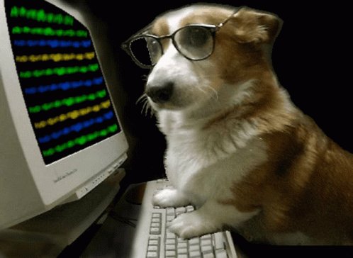 Hacker Pupper Dog GIF