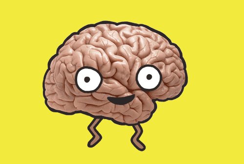 brain GIF by University of ...