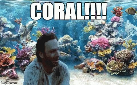 Coral GIF