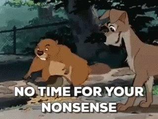 Beaver No Time GIF