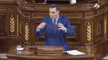 Sanchez Castejon GIF