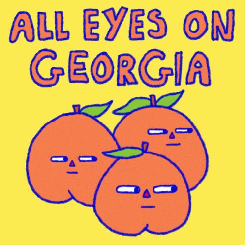 All Eyes On Georgia Ga GIF