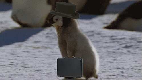 Artic Penguin Gentleman GIF