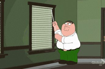 curtains GIF