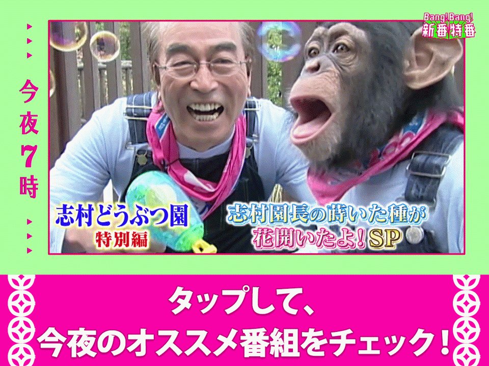4月3日 今夜の日テレ系は こんやは2時間spが2本立て 夜7時 志村どうぶつ園 特別編 相葉雅紀 らが語る 志村園長が教えてくれたこととは 夜9時 ニノさん あの日ぶりに 二宮和也 と 櫻井翔 が共演