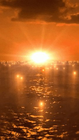 Sun Sunrise GIF