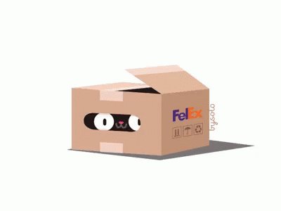 Cat Box GIF