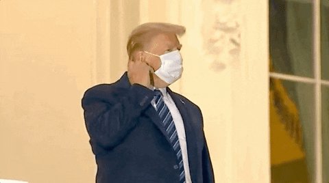 Donald Trump Mask GIF by GI...