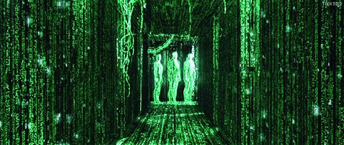 the matrix film GIF by Tech Noir