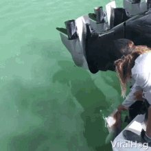 Feeding Shark Scary GIF
