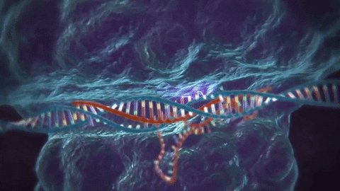 genetics GIF by MIT 