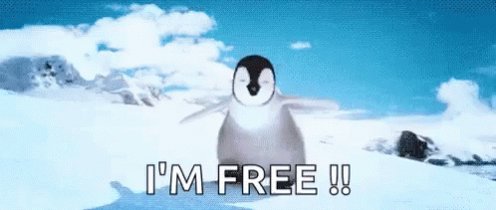 Happy Feet Penguin GIF