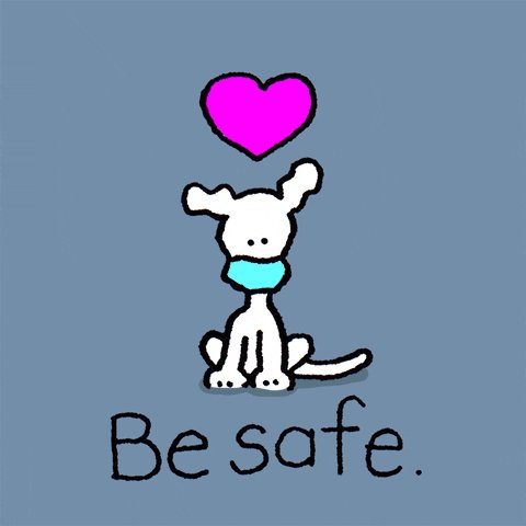 Wear A Mask Stay Safe GIF by Chippy the Dog