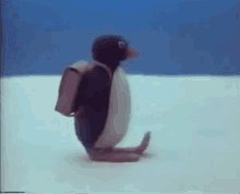 Pingu School GIF