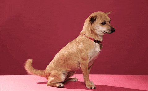 @NatashaBoo10 @vaedalegend https://t.co/5S6c9seMO4<a class="tags" target="_blank" title="On Twitter" href="/?out=eyJ0eXAiOiJKV1QiLCJhbGciOiJIUzUxMiJ9.eyJpYXQiOjE3MjYyMzc1NjYsImlzcyI6InR3cG9ybnN0YXJzLmNvbSIsIm5iZiI6MTcyNjIzNzU2NiwiZXhwIjoxNzU3NzczNTY2LCJyZWRpcmVjdF91cmwiOiJodHRwczovL3R3aXR0ZXIuY29tL05hdGFzaGFCb28xMCJ9.kki9Ouh--foesLNRbKVj6os1fglf6D9ZQ7fL7uQA8Ourt3-VUZtZRy24zNmCpPJihXWcDEBLb51AqhWM9GIvMw">@NatashaBoo10</a><a class="tags" target="_blank" title="On Twitter" href="/?out=eyJ0eXAiOiJKV1QiLCJhbGciOiJIUzUxMiJ9.eyJpYXQiOjE3MjYyMzc1NjYsImlzcyI6InR3cG9ybnN0YXJzLmNvbSIsIm5iZiI6MTcyNjIzNzU2NiwiZXhwIjoxNzU3NzczNTY2LCJyZWRpcmVjdF91cmwiOiJodHRwczovL3R3aXR0ZXIuY29tL3ZhZWRhbGVnZW5kIn0.z-R4v2XrmczqJsatcJOwHcvHTvO5cNBUqTpbwCprLTiN37BWFCFHnW2IPVSpfEUcrjBr0AMMGsYA3FlNrZ5bZg">@vaedalegend</a><a href="/tag/ass"class="tags"><span>#ass</span></a><a href="/tag/tummy"class="tags"><span>#tummy</span></a><a href="/tag/assassassass"class="tags"><span>#assassassass</span></a><a href="/tag/asmr"class="tags"><span>#asmr</span></a><a href="/tag/onlyfriends"class="tags"><span>#onlyfriends</span></a>