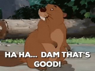 Beaver Dam GIF