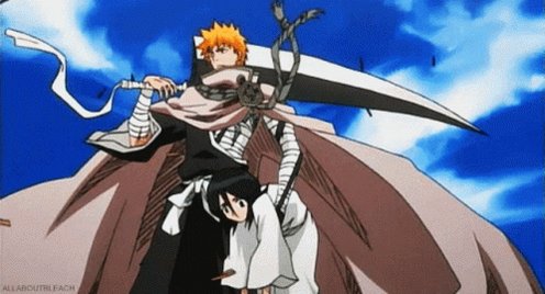 Bleach Cloak GIF