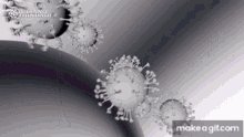 Corona Virus Spreading GIF