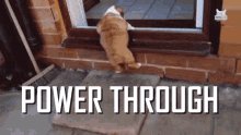 Power Through You Can Do It GIF