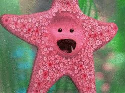 Starfish Nemo GIF