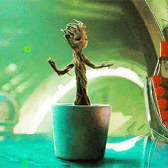 Plant Dancing GIF