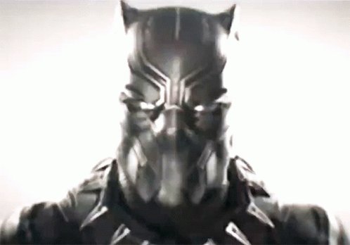 Black Panther Chadwick Boseman GIF