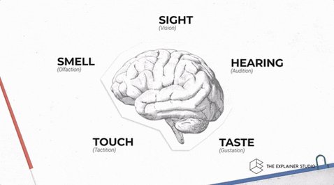 Gif of a drawing of a brain...