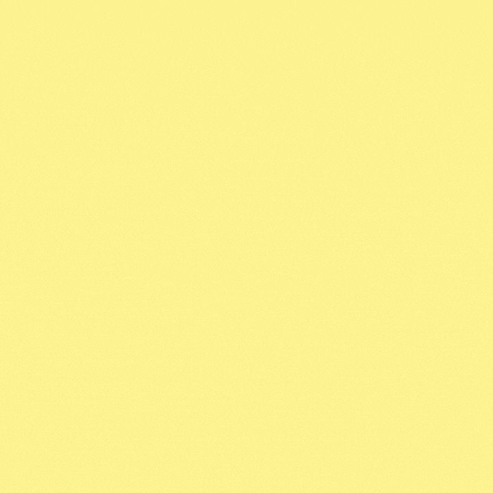 Nicola Sturgeon Independence GIF by The SNP