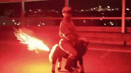 Horse Turbo GIF