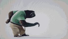 Sloth Walking Slow GIF