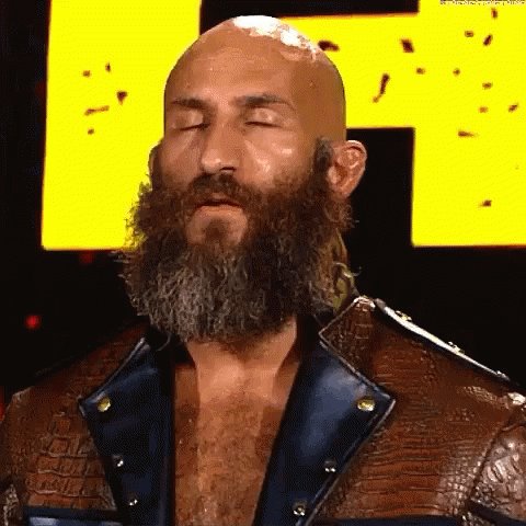 Tommaso Ciampa Orgasm GIF