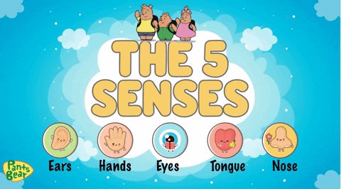 Gif of the 5 senses, there is icons of the hands, eyes, tong