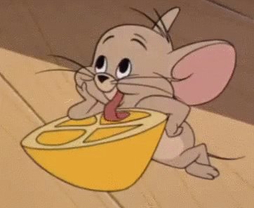 Gif of a mouse licking a lemon!