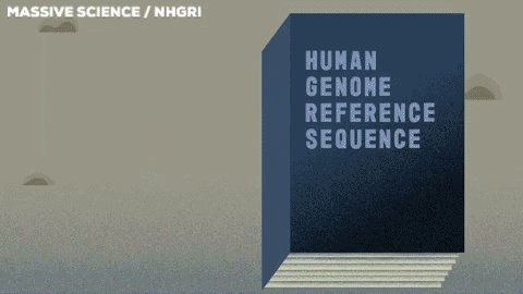Dna Sequence Animation GIF ...