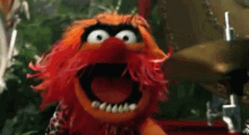 Animal My Animal Muppet GIF