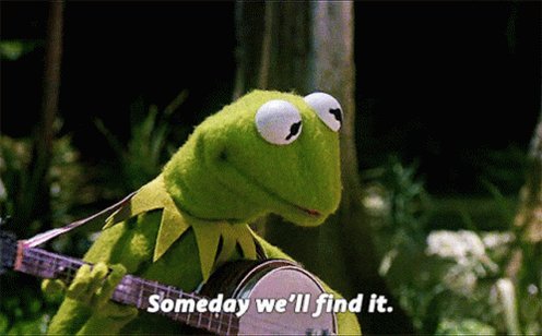 Kermit Someday Well Find It GIF