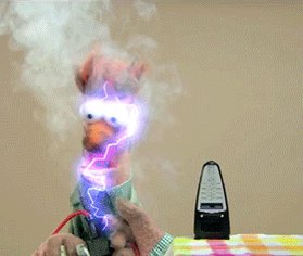 Muppets GIF