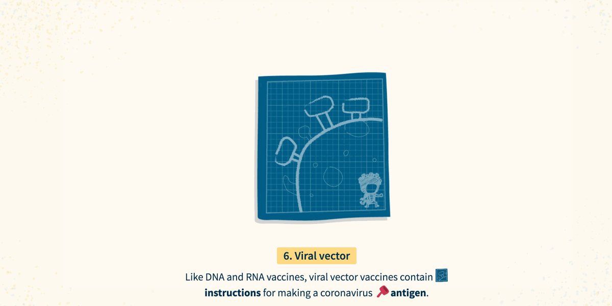 Viral vector vaccines use a less harmful virus, like the adenovirus which causes the common cold, to carry instructions for human cells to make proteins found on the surface of the coronavirus. The body uses these proteins to build immunity against the coronavirus. https://t.co/m4cSfVpgwB