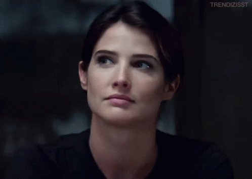 Happy birthday Cobie Smulders! 