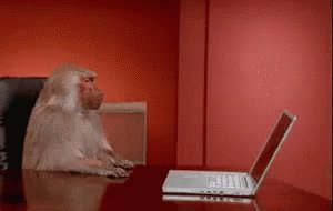 Monkey Computer GIF