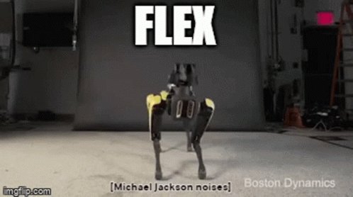 Flex Spot GIF