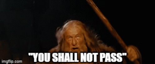 You Shall Not Pass Lotr GIF