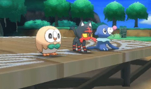 @Pokemon's photo on Rowlet