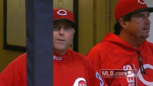 cincinnati reds no GIF by MLB