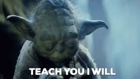 Teach You Yoda GIF