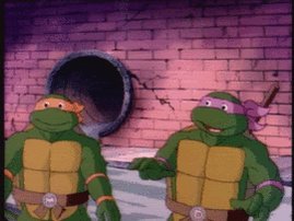 teenage mutant ninja turtle...