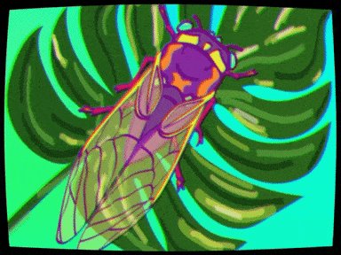 Can any East Coast entomologists tell me when Brood X is likely going to peak? #cicadas #Broodx https://t.co/u6x6995RdO